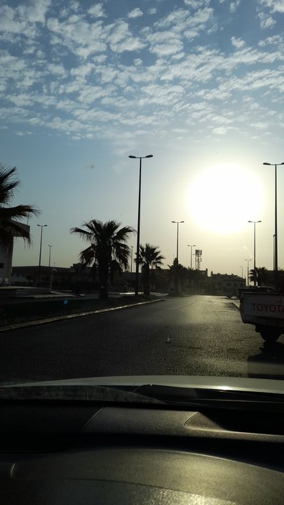 مشاركاتي في أنت الراصد