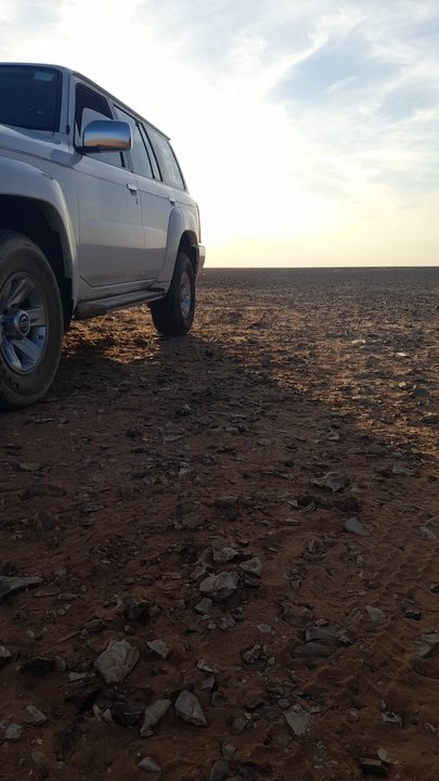 مشاركاتي في أنت الراصد