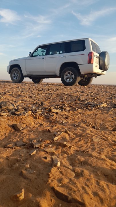 مشاركاتي في أنت الراصد