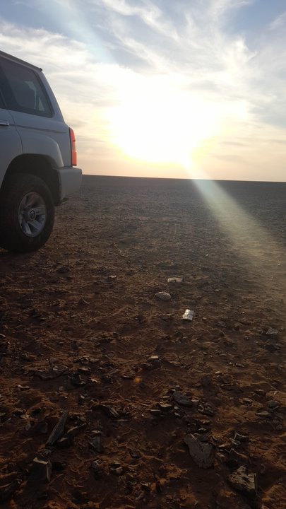 مشاركاتي في أنت الراصد