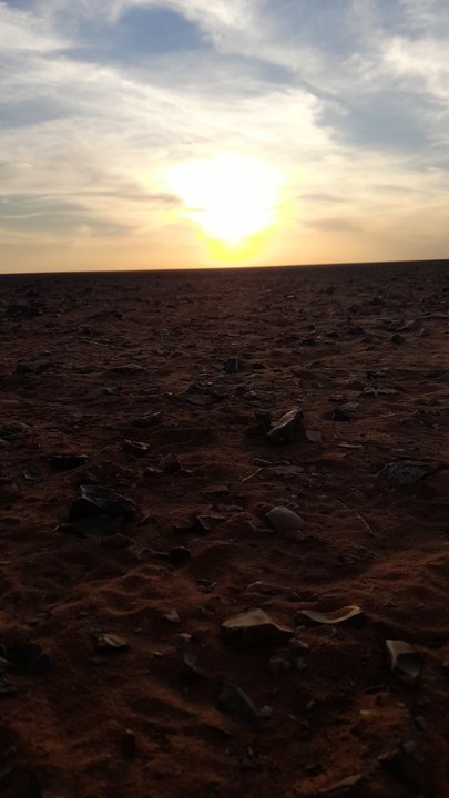 مشاركاتي في أنت الراصد