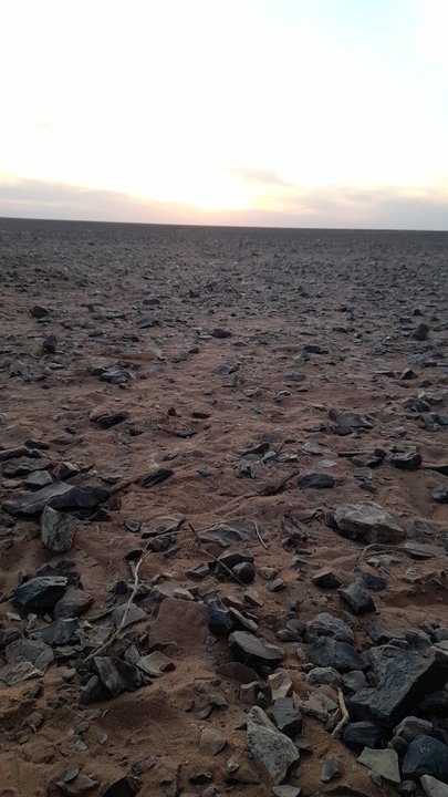 مشاركاتي في أنت الراصد