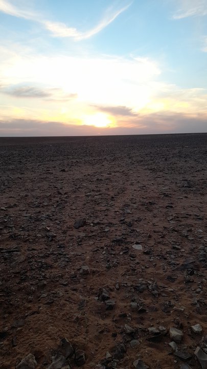 مشاركاتي في أنت الراصد