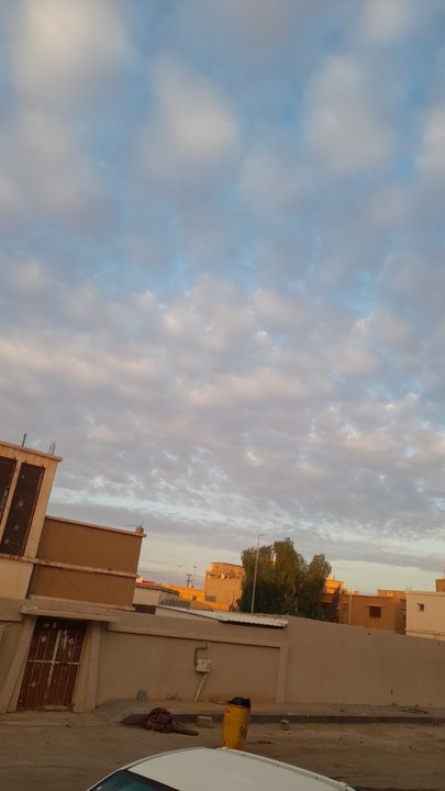 مشاركاتي في أنت الراصد