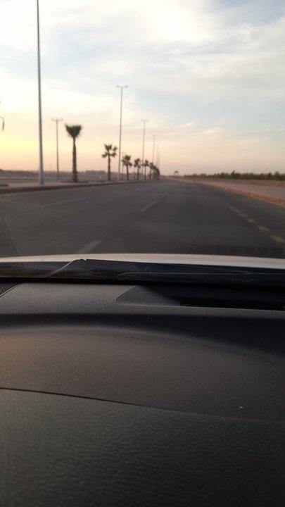 مشاركاتي في أنت الراصد