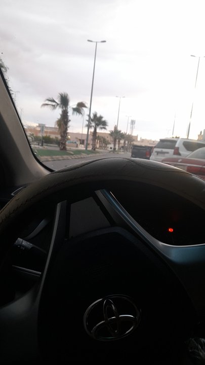 مشاركاتي في أنت الراصد