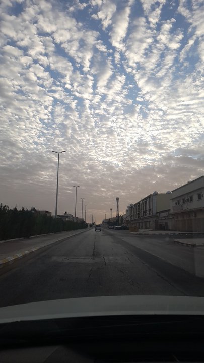 مشاركاتي في أنت الراصد