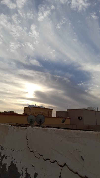 مشاركاتي في أنت الراصد