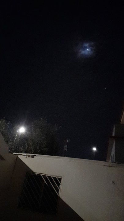 مشاركاتي في أنت الراصد