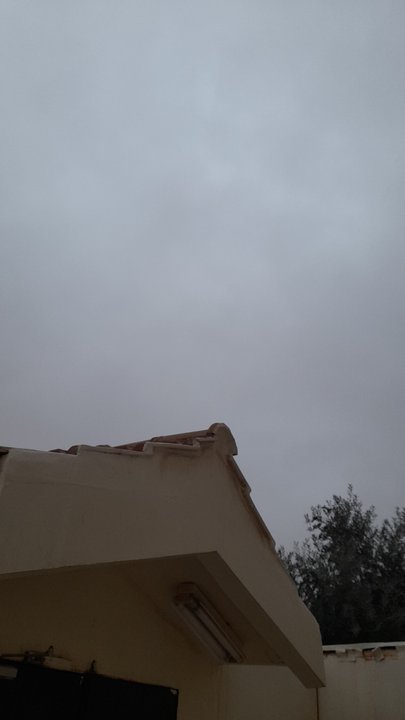 مشاركاتي في أنت الراصد