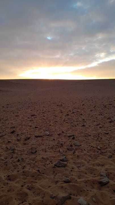 مشاركاتي في أنت الراصد