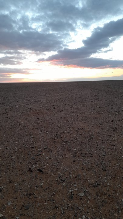 مشاركاتي في أنت الراصد