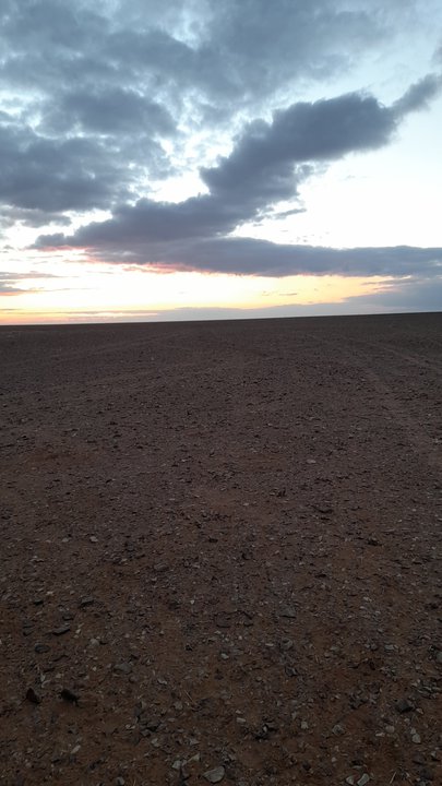 مشاركاتي في أنت الراصد