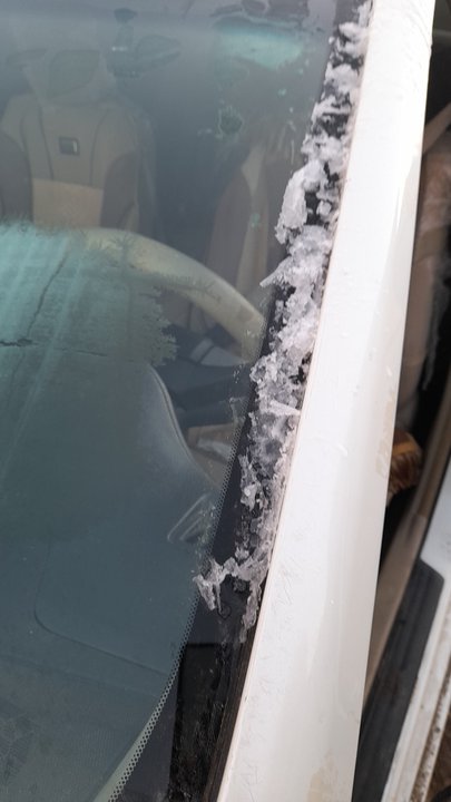 مشاركاتي في أنت الراصد