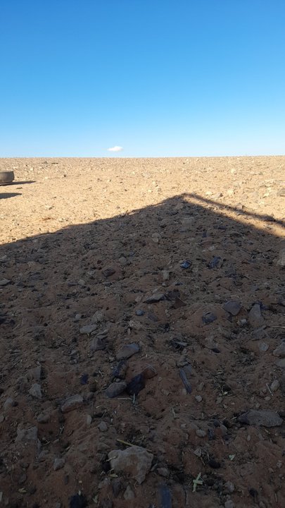 مشاركاتي في أنت الراصد