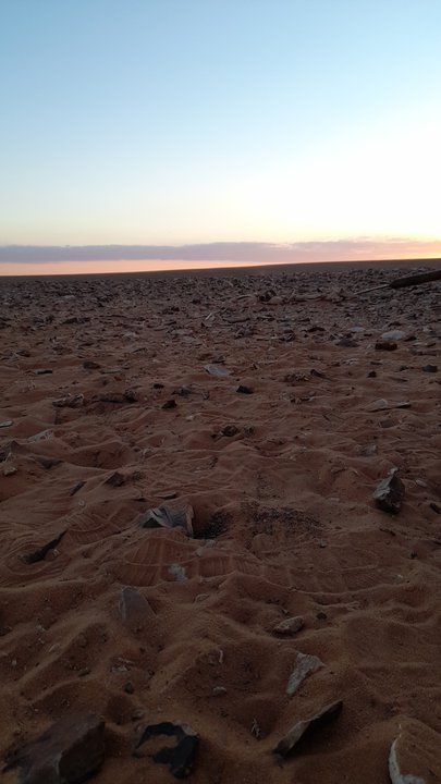 مشاركاتي في أنت الراصد