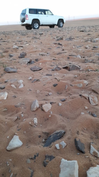 مشاركاتي في أنت الراصد