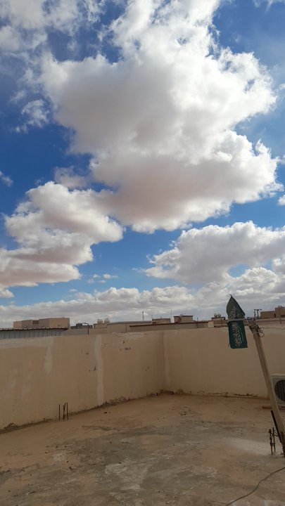 مشاركاتي في أنت الراصد