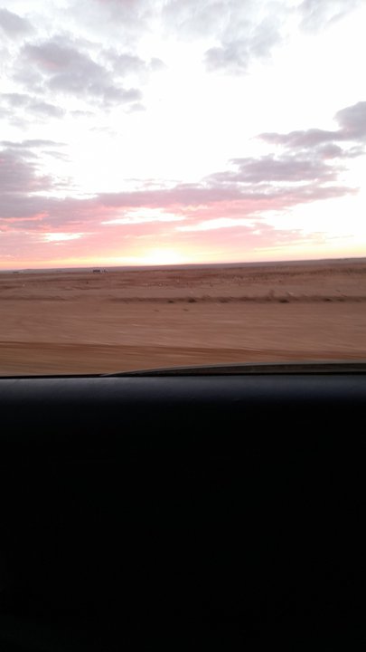 مشاركاتي في أنت الراصد