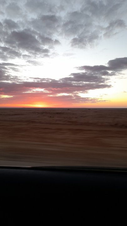 مشاركاتي في أنت الراصد