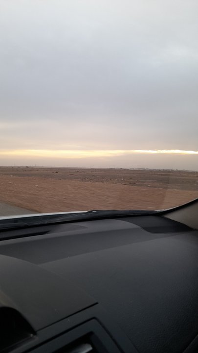 مشاركاتي في أنت الراصد