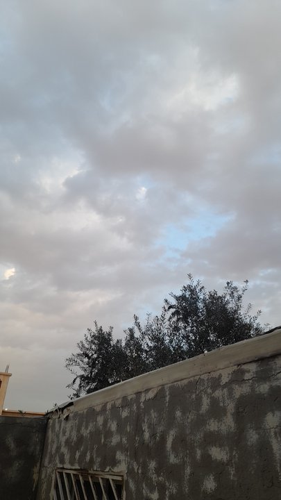 مشاركاتي في أنت الراصد