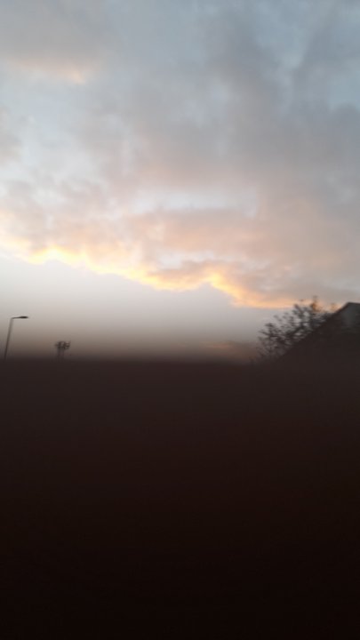 مشاركاتي في أنت الراصد