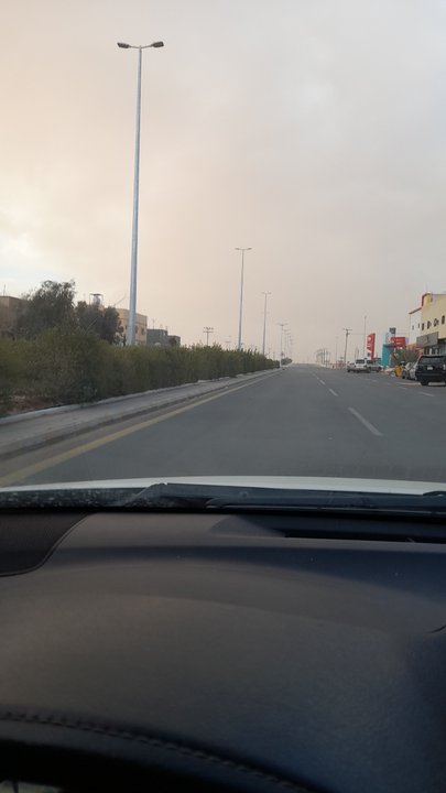 مشاركاتي في أنت الراصد