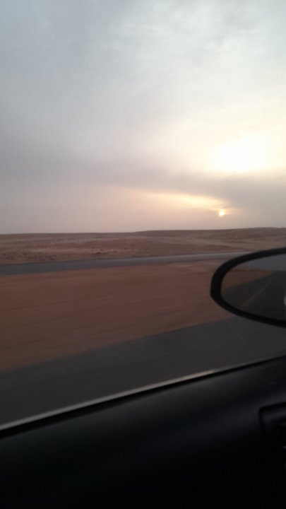 مشاركاتي في أنت الراصد