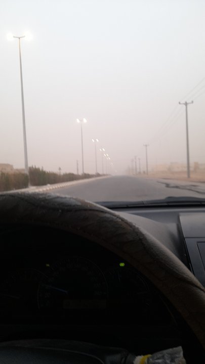 مشاركاتي في أنت الراصد