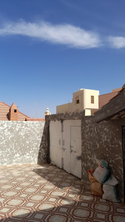 مشاركاتي في أنت الراصد