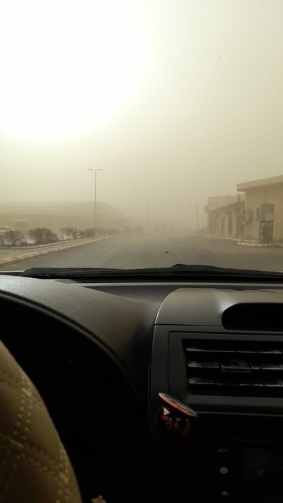 مشاركاتي في أنت الراصد