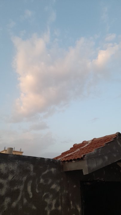 مشاركاتي في أنت الراصد