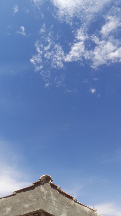 مشاركاتي في أنت الراصد