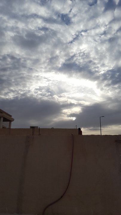 مشاركاتي في أنت الراصد