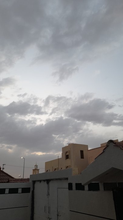 مشاركاتي في أنت الراصد