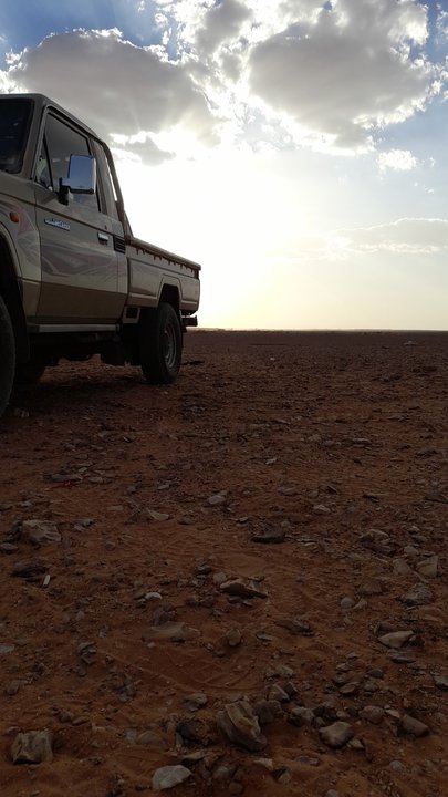 مشاركاتي في أنت الراصد