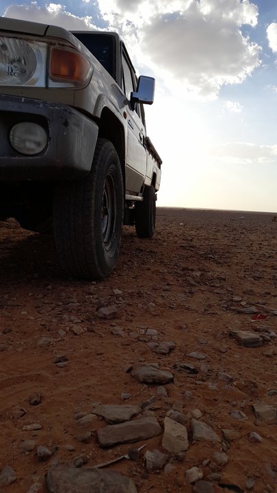 مشاركاتي في أنت الراصد