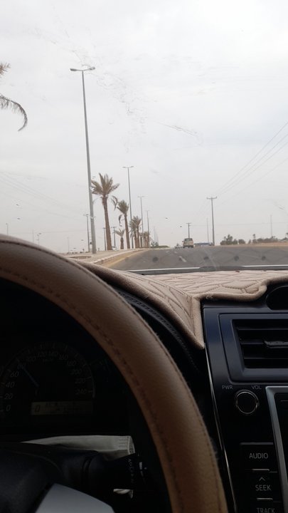 مشاركاتي في أنت الراصد