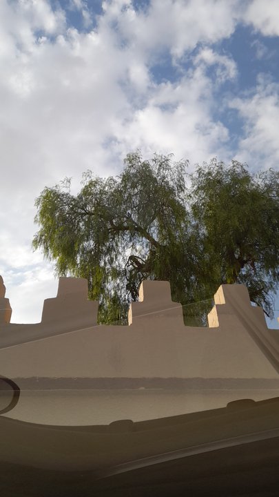 مشاركاتي في أنت الراصد