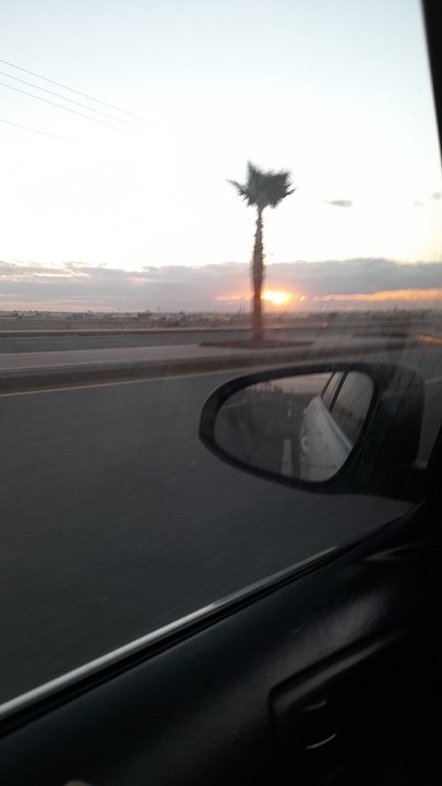 مشاركاتي في أنت الراصد