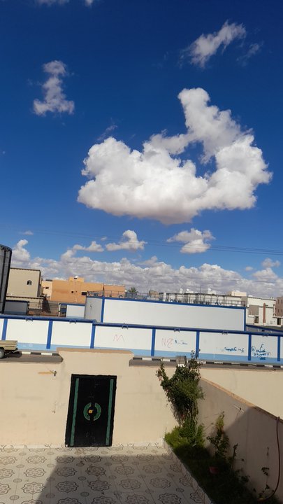 مشاركاتي في أنت الراصد