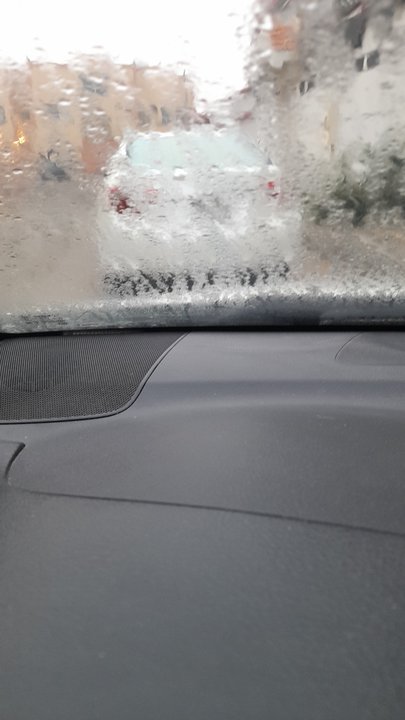 مشاركاتي في أنت الراصد