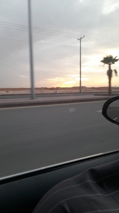 Mes publications Crowdsourcing