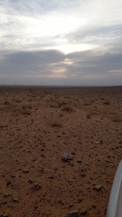 Mes publications Crowdsourcing