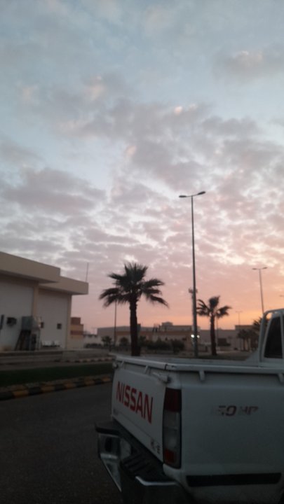 Mes publications Crowdsourcing