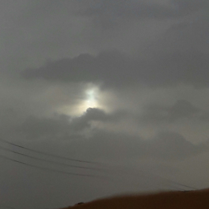 مشاركاتي في أنت الراصد