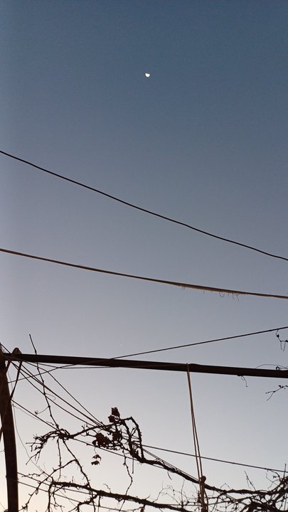 My Crowdsourcing Posts