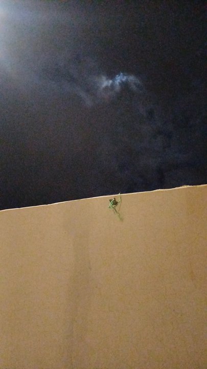 My Crowdsourcing Posts