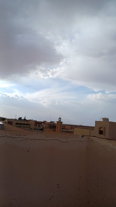 مشاركاتي في أنت الراصد